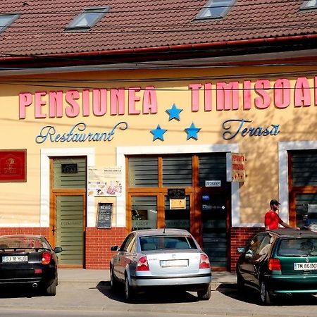 Pensiunea Тимишоара Экстерьер фото