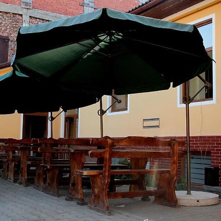 Pensiunea Тимишоара Экстерьер фото